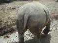 群馬サファリパーク。その5