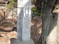 倭文神社 しとりじんじゃ その8