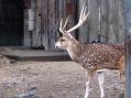 東武動物公園。その19