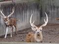 東武動物公園。その20