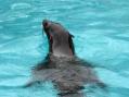 東武動物公園。その23