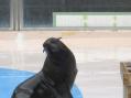 東武動物公園。その24
