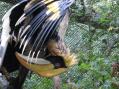 東武動物公園。その26