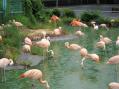 東武動物公園。その7