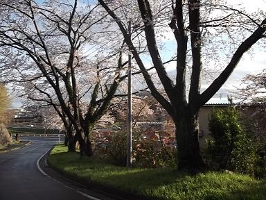 DSCF4668①