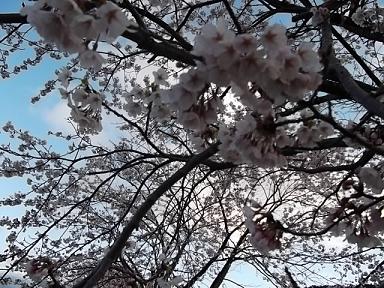 DSCF4675③