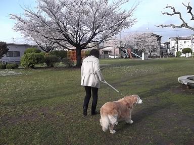 DSCF4634①