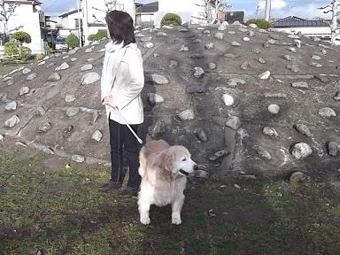 DSCF4648②