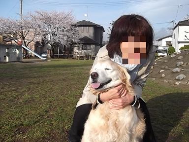 DSCF4650④