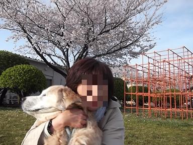 DSCF4646②