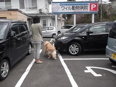 DSCF4948⑬