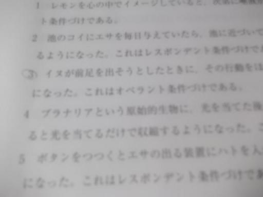 DSCF1311①