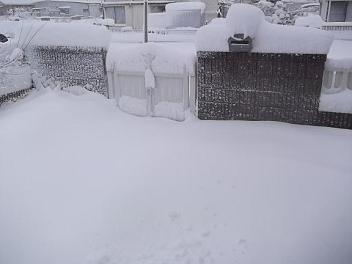 DSCF1519④