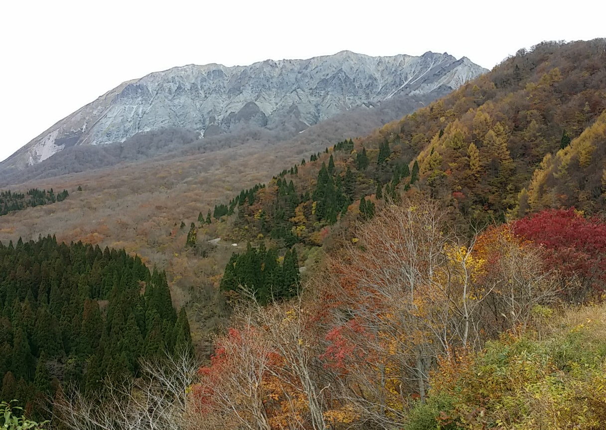 20141109131348073.jpg