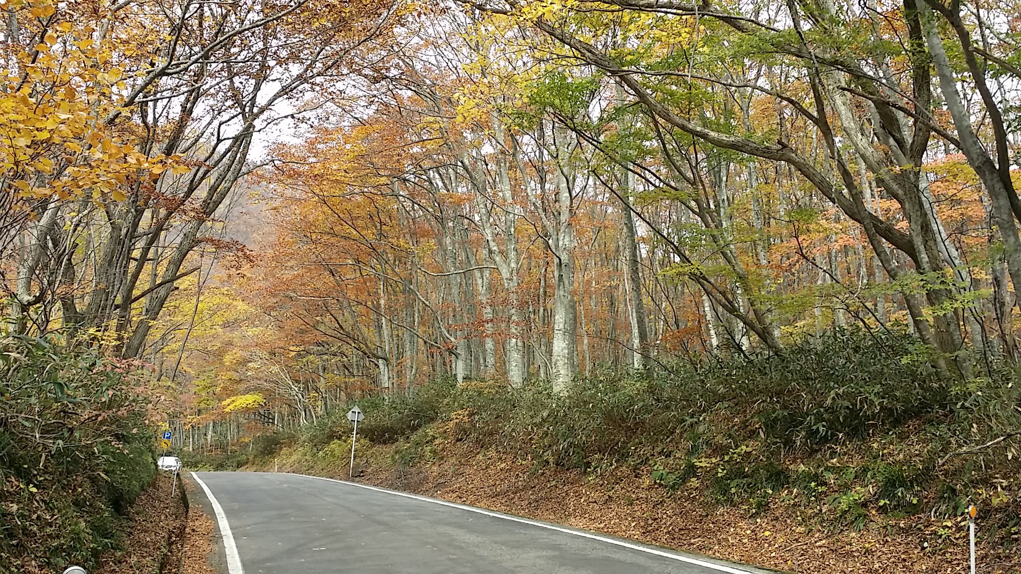 2014110913191651a.jpg