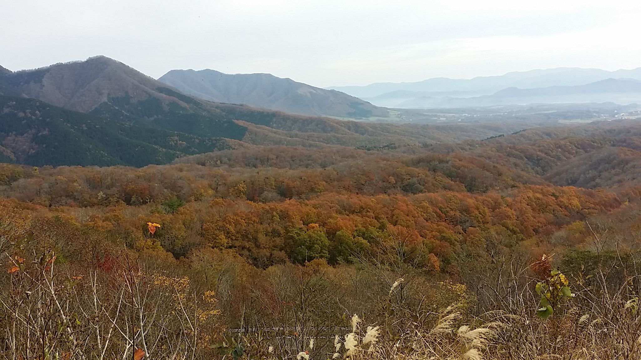 2014110913231104e.jpg
