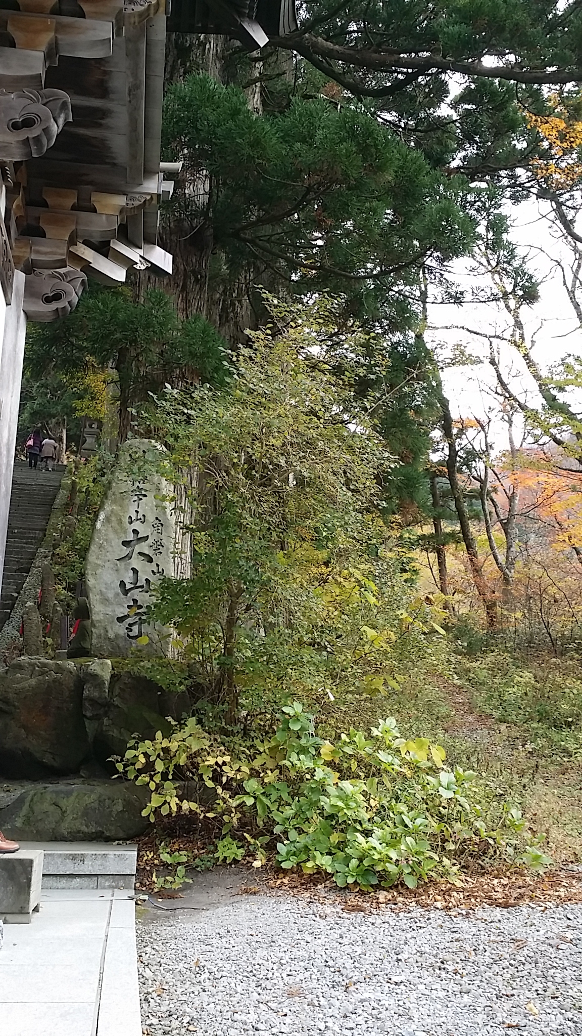 20141109132336571.jpg