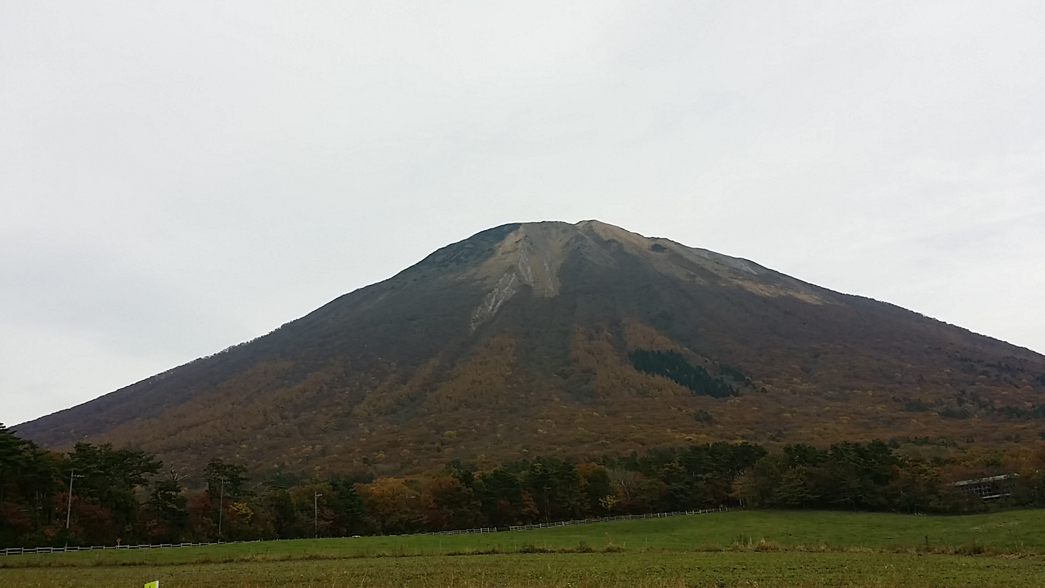 20141109132358dec.jpg