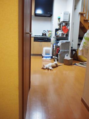 PC147215.jpg