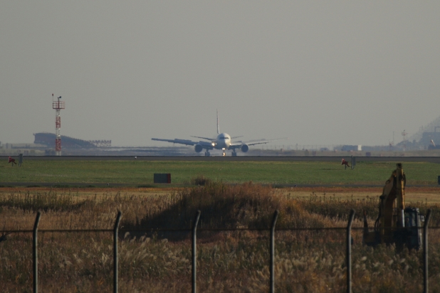 7D4A0202.jpg