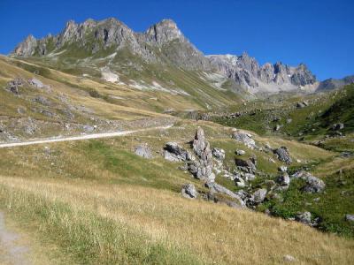 IMG_4049_2.jpg