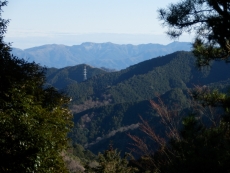P2113831.jpg