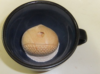 DSCF0375.jpg