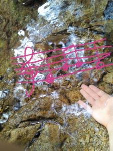 2012090.jpg