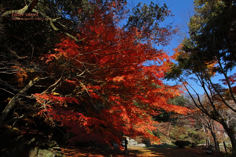121125-132905_R.jpg