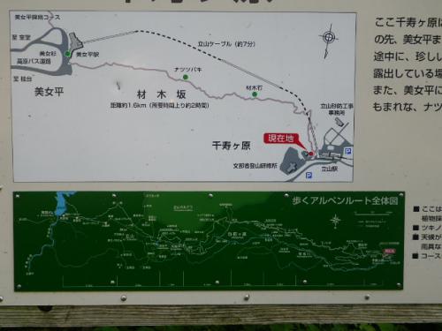 立6