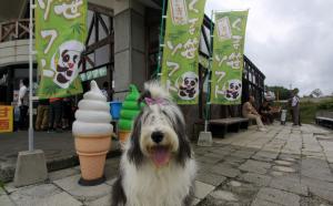 IMG_9703_convert_20120913213510.jpg