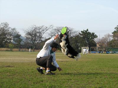 プルートの散歩3