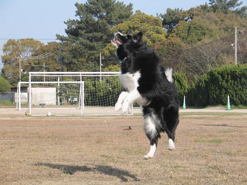 ハイジャンプ