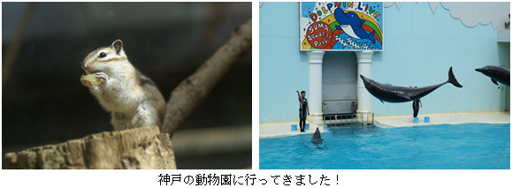 神戸の動物園に行ってきました！