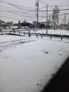 雪229