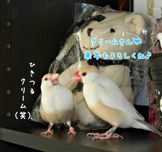 2013.146