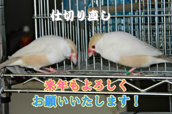2013.149