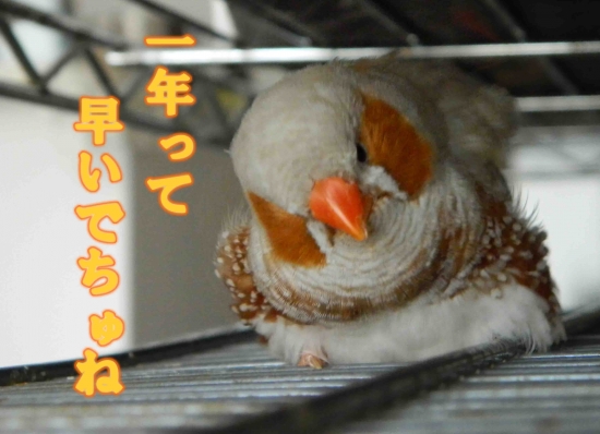 2013.150