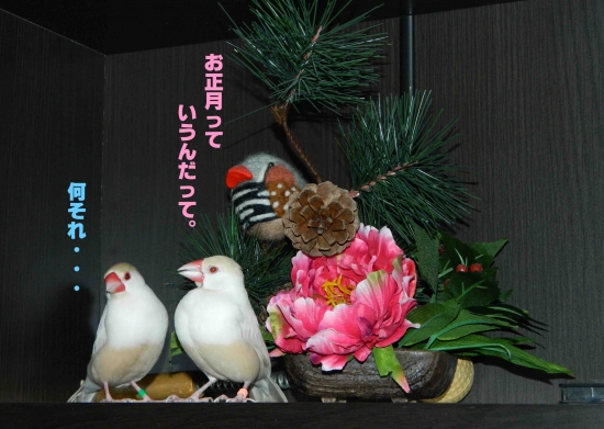 2014.1