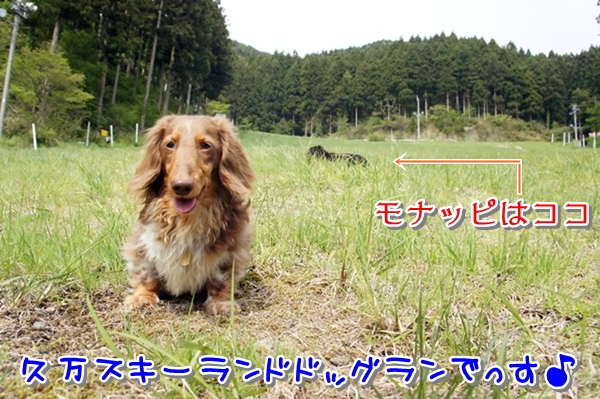 2012-05-19-02.jpg