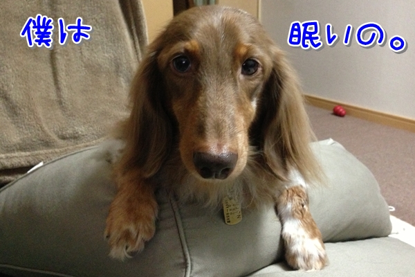 600IMG_7686.jpg