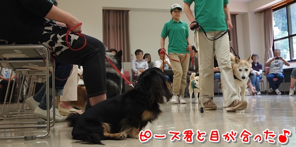 600S_P6103953.jpg