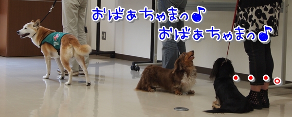 600S_P6103968.jpg