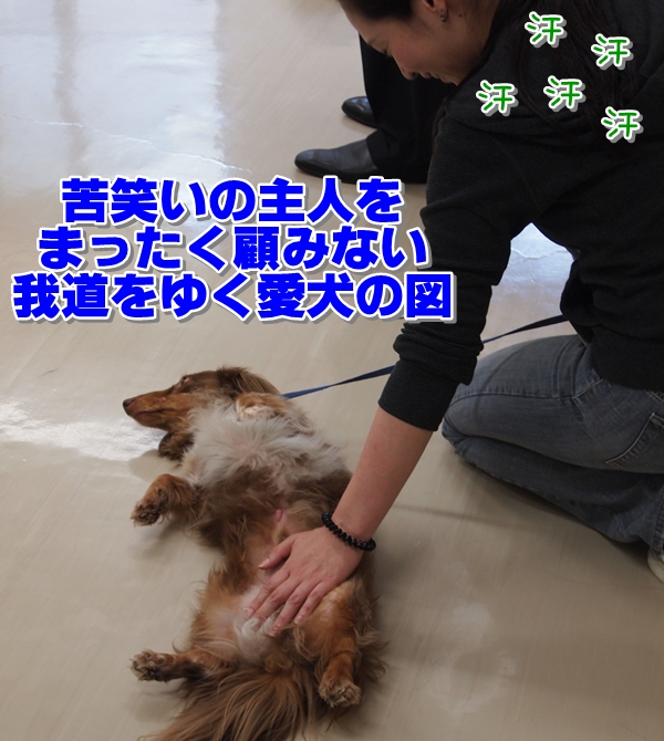 600S_P6103976.jpg