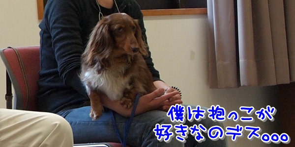 600s_P6103949.jpg