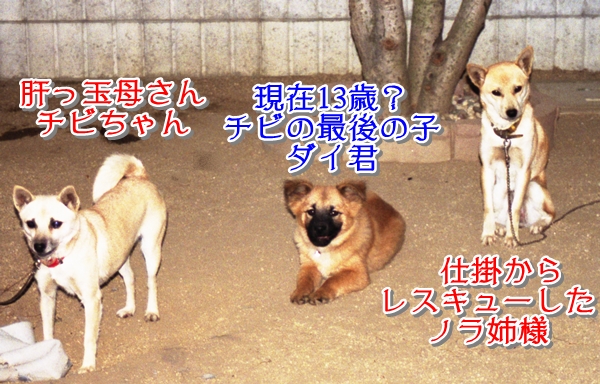nega0013.jpg