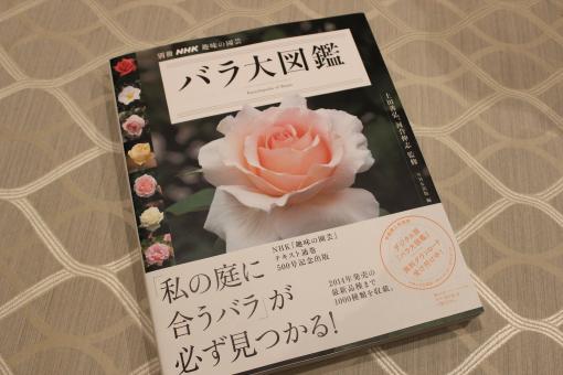 IMG_3099_convert_20141110213528.jpg