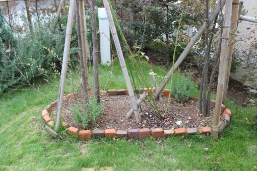 IMG_3100_convert_20141112183357.jpg