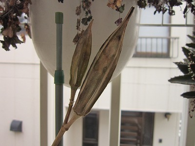 00IMG_5708.jpg