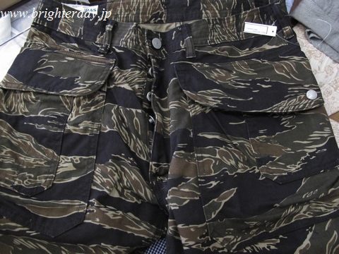 sassafrastaigercamo02.jpg